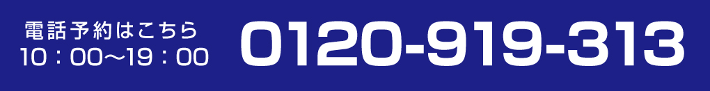 0120-919-313